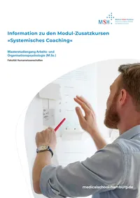 Information zu den Modul-Zusatzkursen »Systemisches Coaching« zum Herunterladen