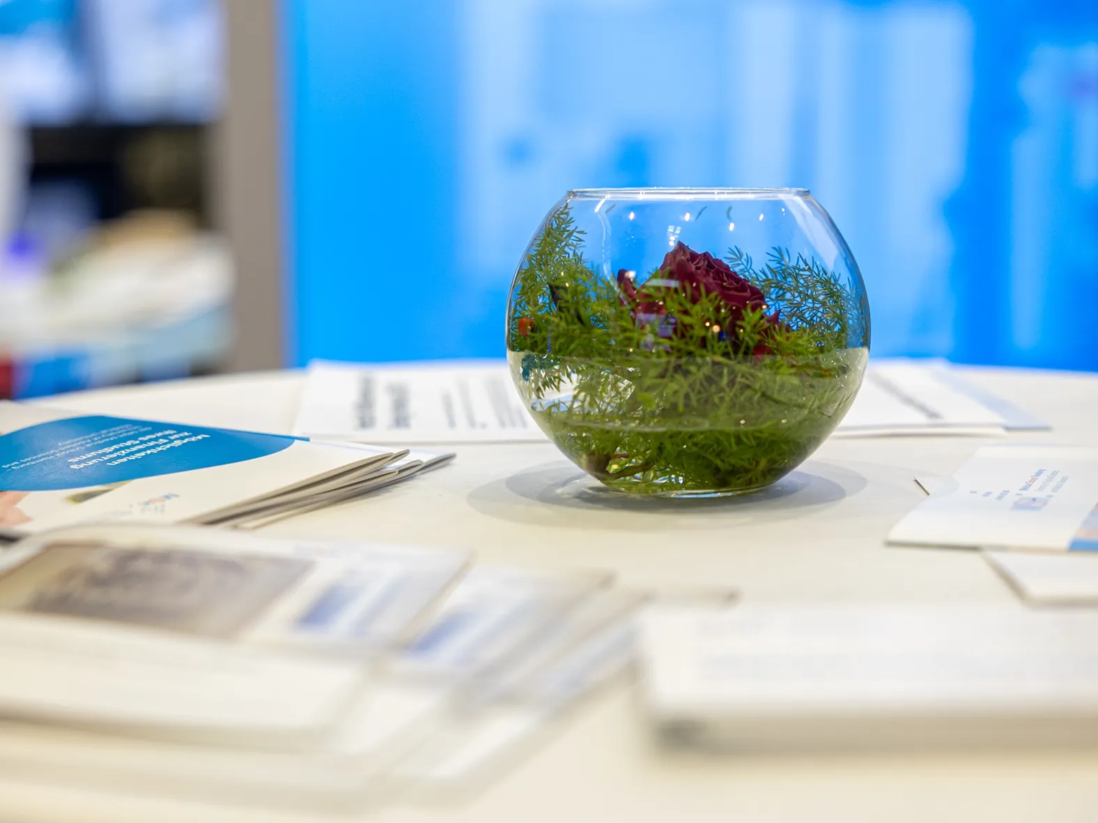 Glasvase mit grünen Pflanzen und roter Blüte auf einem Tisch, umgeben von Flyern und Informationsmaterial.