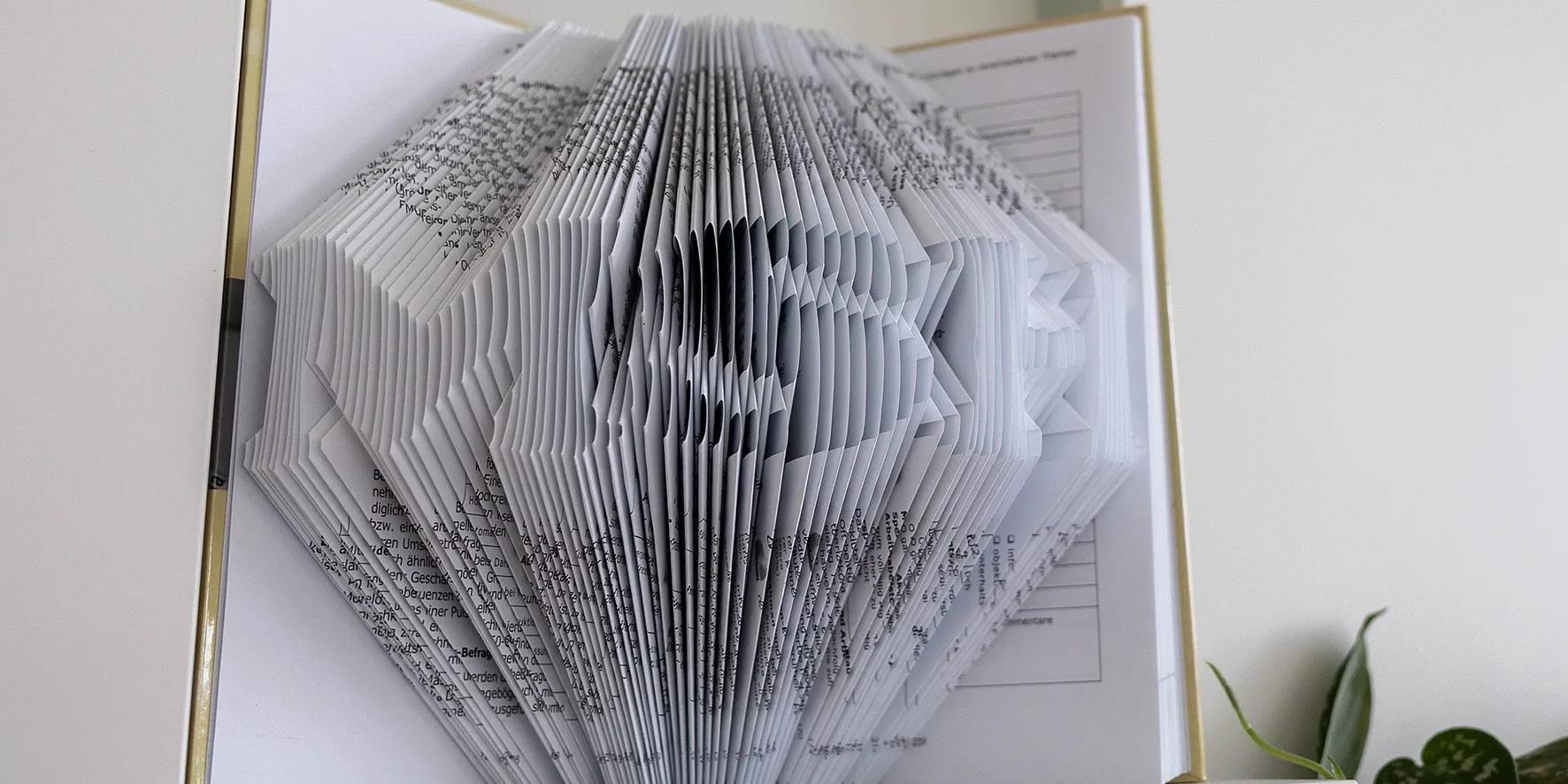 Aufgeschlagenes Buch mit kunstvoll gefalteten Seiten, die die Buchstaben „MSH“ formen.