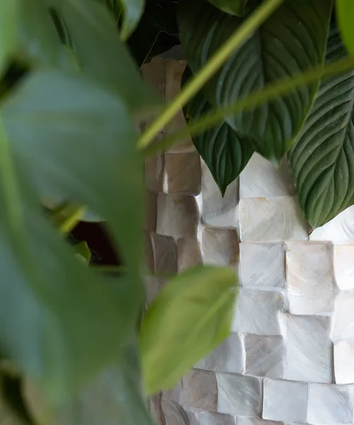 Grüne Pflanzenblätter im Vordergrund mit Blick auf eine Wand aus hellen, schimmernden Muschel- oder Steinfliesen im Hintergrund.