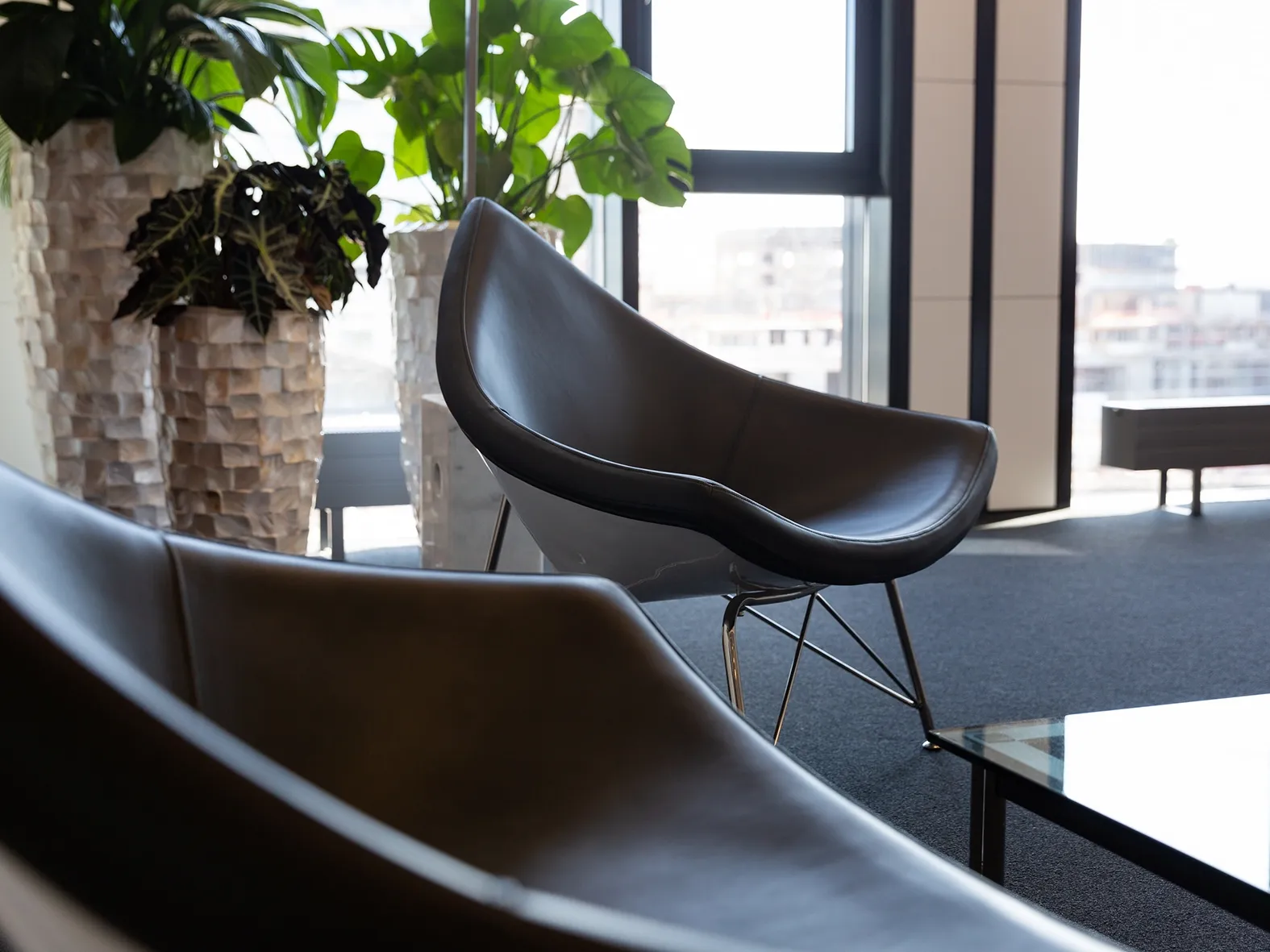 Modern eingerichteter Raum mit schwarzen Designerstühlen, weichem Teppichboden und großen Fenstern, die Tageslicht hereinlassen.