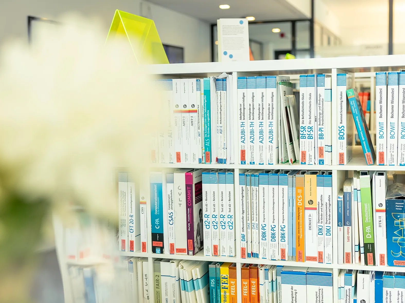 Bücherregal mit zahlreichen Fachbüchern und Testmanualen, überwiegend in Weiß- und Blautönen gehalten.