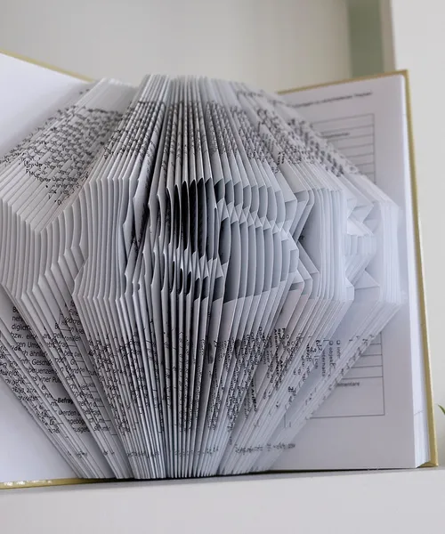 Aufgeschlagenes Buch mit kunstvoll gefalteten Seiten, die die Buchstaben „MSH“ formen.