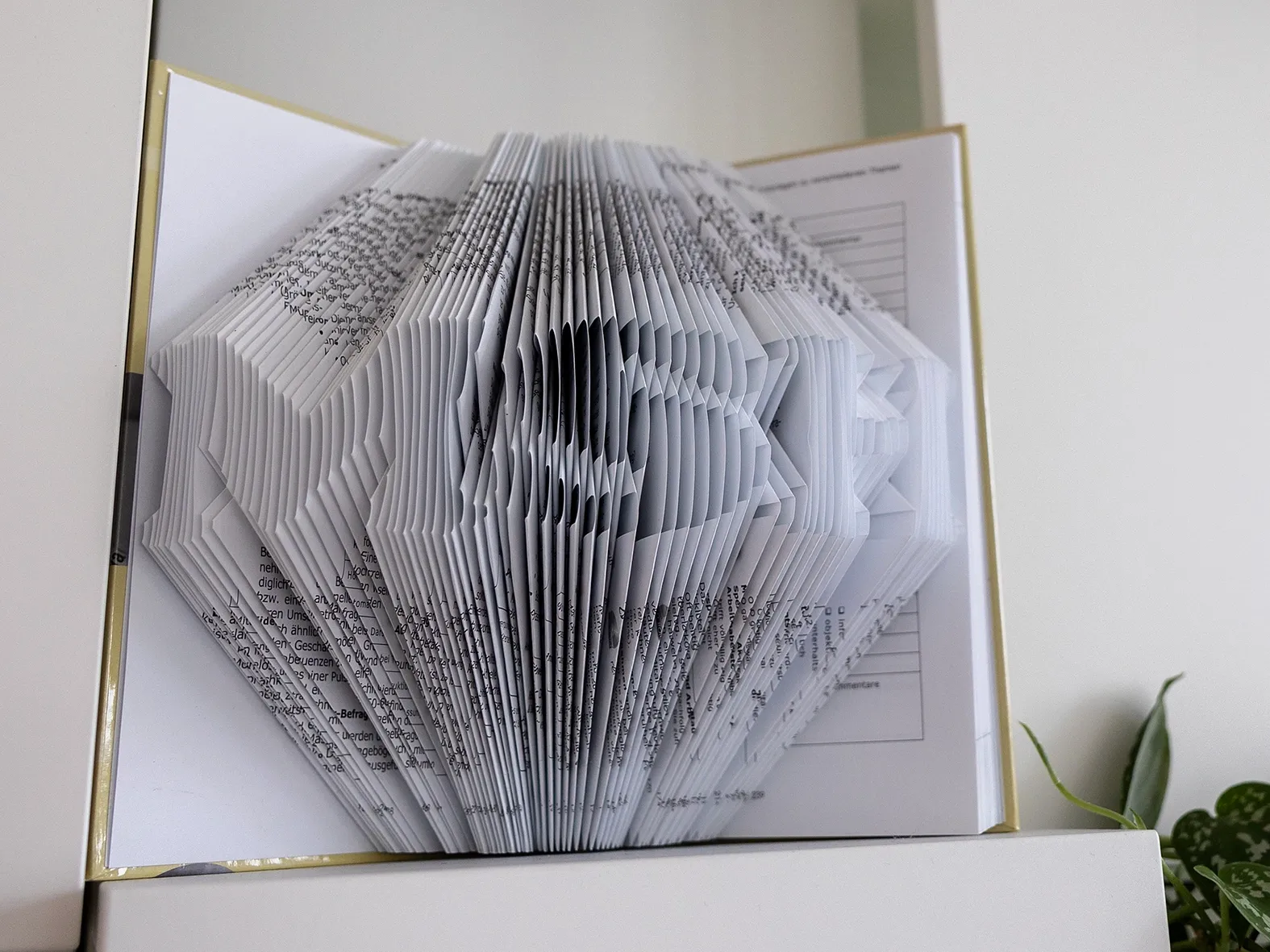 Aufgeschlagenes Buch mit kunstvoll gefalteten Seiten, die die Buchstaben „MSH“ formen.