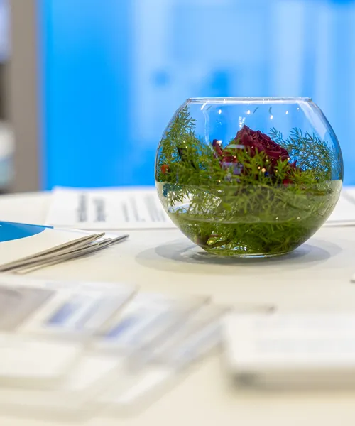 Glasvase mit grünen Pflanzen und roter Blüte auf einem Tisch, umgeben von Flyern und Informationsmaterial.
