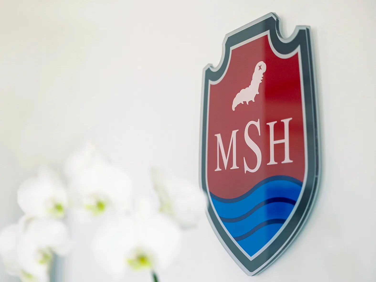 Nahaufnahme eines roten Schildes mit der weißen Aufschrift „MSH“ und einem stilisierten Tiermotiv darüber.