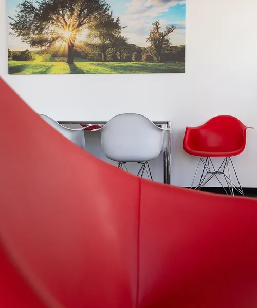 Moderne Sitzgruppe mit roten und weißen Stühlen vor einer weißen Wand, daneben eine hohe Pflanze in einem weißen Übertopf.