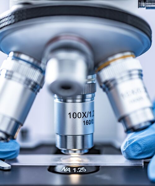 Nahaufnahme eines Mikroskops mit Objektträger, gehalten von Händen in blauen Handschuhen.