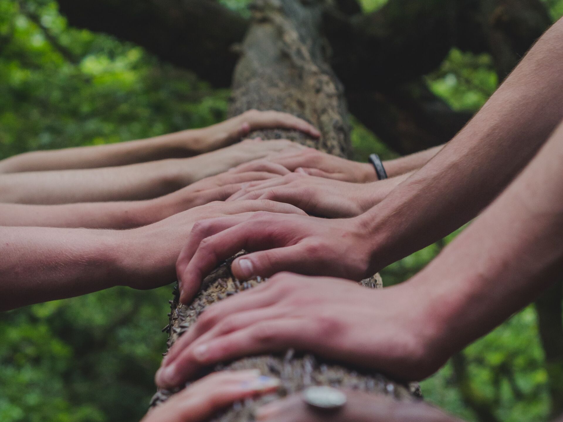 Mehrere Hände berühren gemeinsam einen Baumstamm inmitten eines Waldes als Zeichen für Verbundenheit mit der Natur.