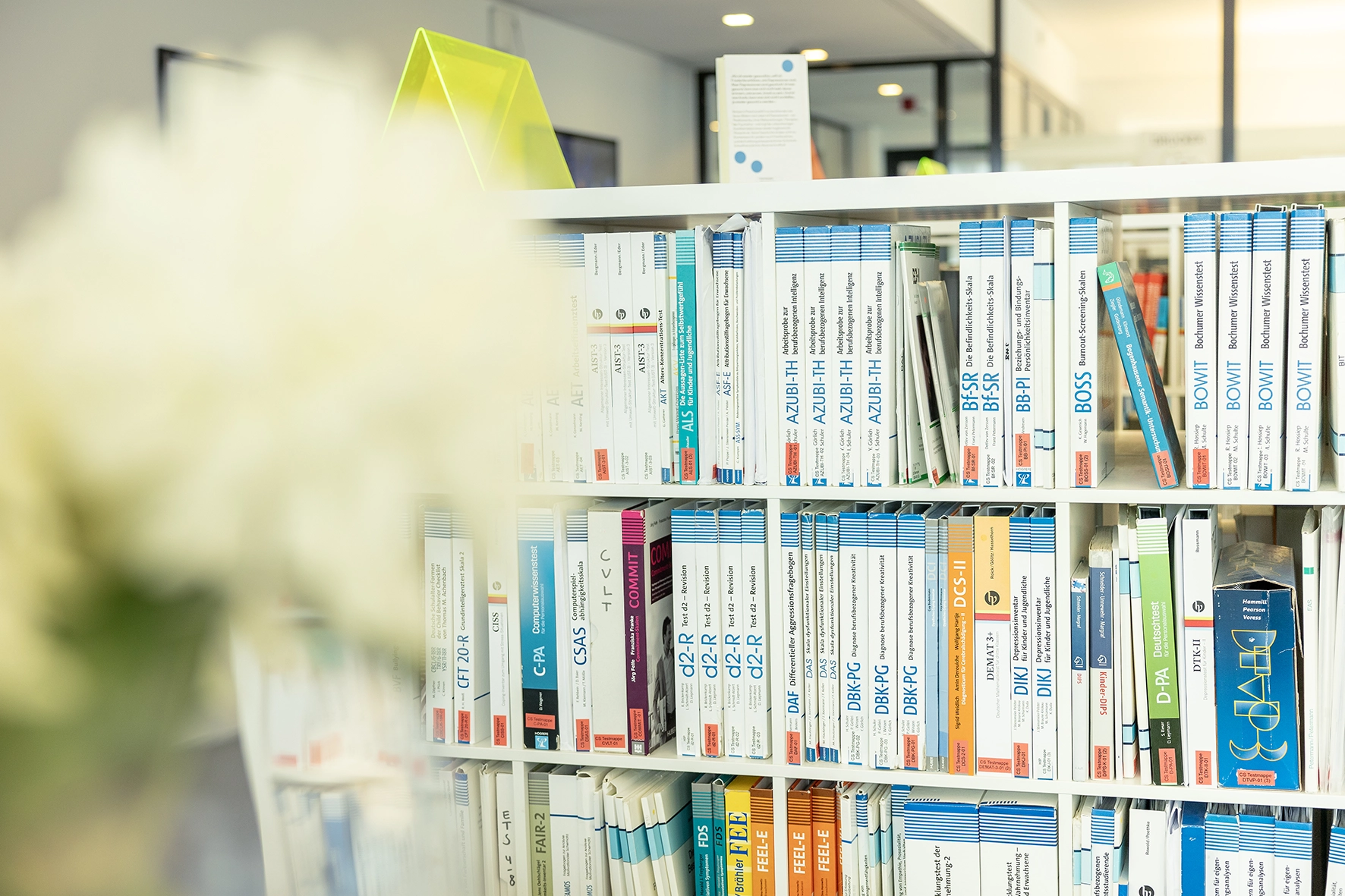 Bücherregal mit zahlreichen Fachbüchern und Testmanualen, überwiegend in Weiß- und Blautönen gehalten.