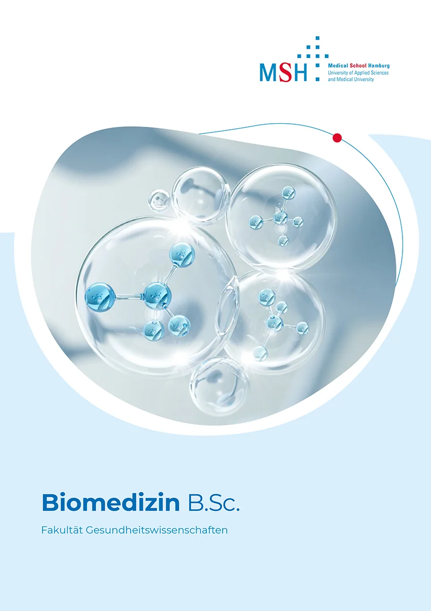 Flyer Bachelor Biomedizin MSH